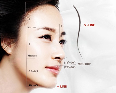 Comparison of structural and semi-structural rhinoplasty Nâng mũi cấu trúc và bán cấu trúc