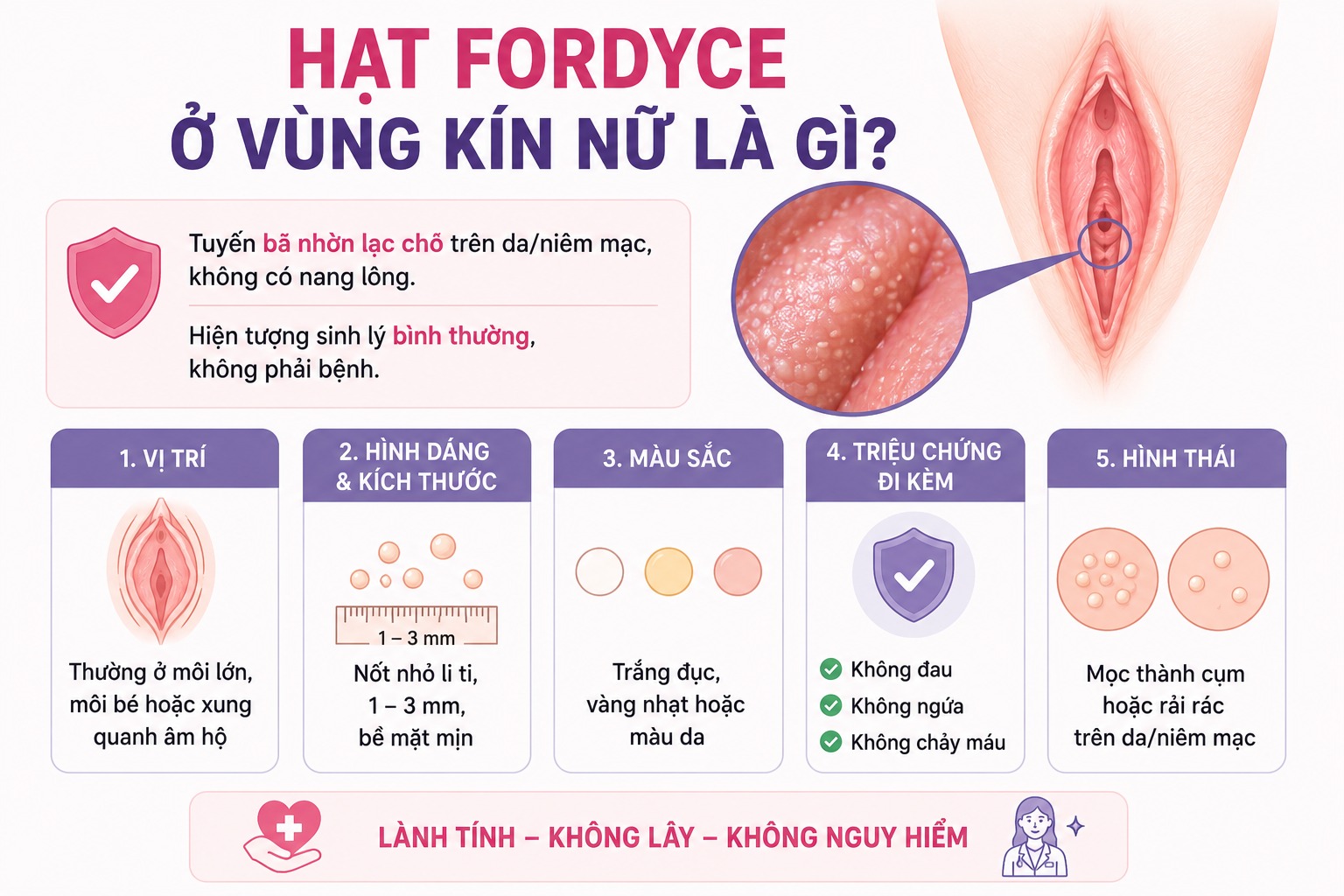 Hạt fordyce ở vùng kín nữ là gì?
